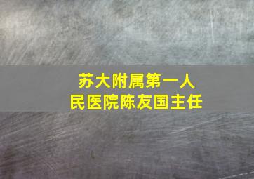 苏大附属第一人民医院陈友国主任