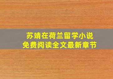 苏靖在荷兰留学小说免费阅读全文最新章节