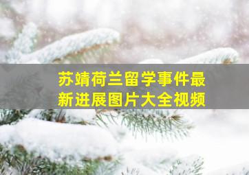 苏靖荷兰留学事件最新进展图片大全视频