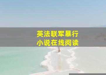 英法联军暴行小说在线阅读