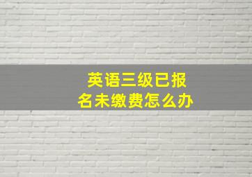 英语三级已报名未缴费怎么办