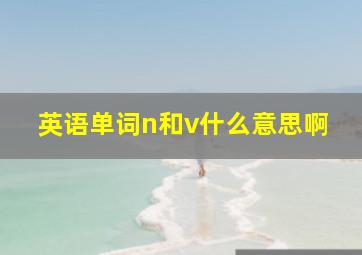 英语单词n和v什么意思啊