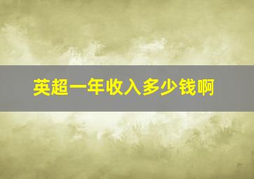 英超一年收入多少钱啊