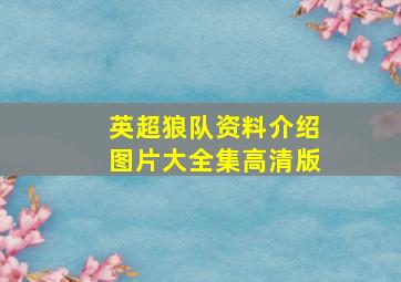 英超狼队资料介绍图片大全集高清版