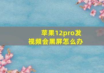 苹果12pro发视频会黑屏怎么办