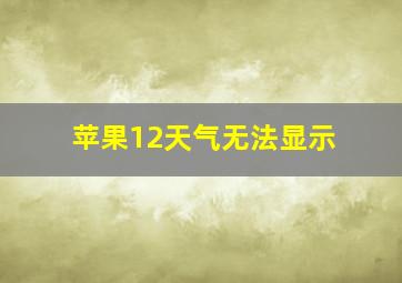 苹果12天气无法显示