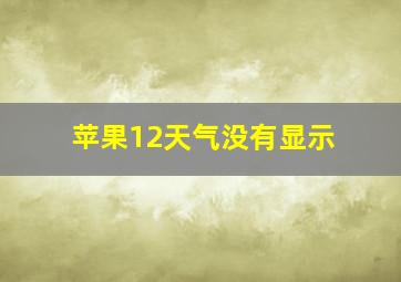 苹果12天气没有显示