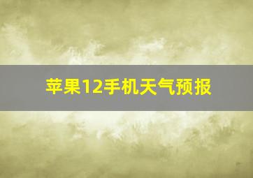 苹果12手机天气预报