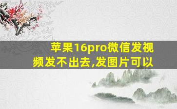 苹果16pro微信发视频发不出去,发图片可以