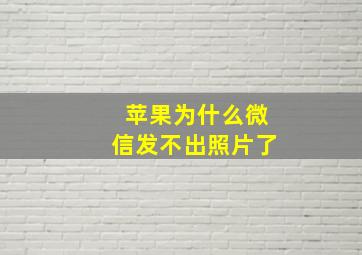 苹果为什么微信发不出照片了