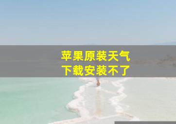 苹果原装天气下载安装不了