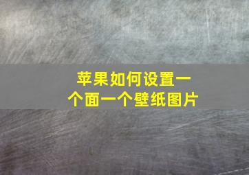 苹果如何设置一个面一个壁纸图片