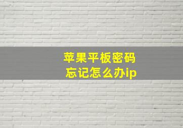 苹果平板密码忘记怎么办ip