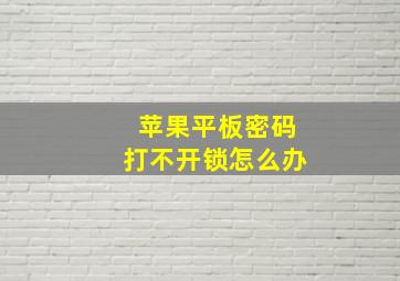 苹果平板密码打不开锁怎么办