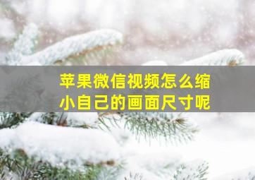 苹果微信视频怎么缩小自己的画面尺寸呢