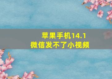 苹果手机14.1微信发不了小视频