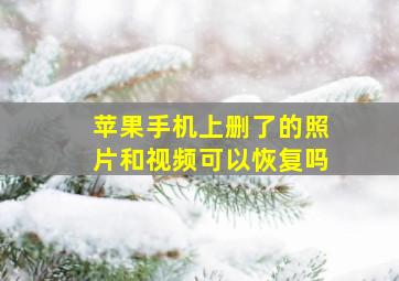 苹果手机上删了的照片和视频可以恢复吗