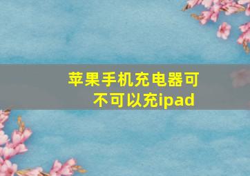 苹果手机充电器可不可以充ipad