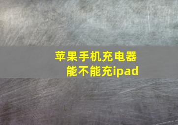 苹果手机充电器能不能充ipad