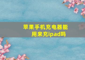 苹果手机充电器能用来充ipad吗