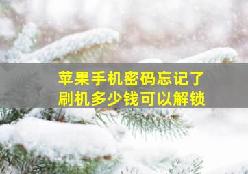 苹果手机密码忘记了刷机多少钱可以解锁