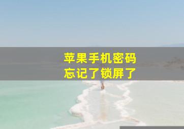 苹果手机密码忘记了锁屏了