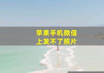 苹果手机微信上发不了照片