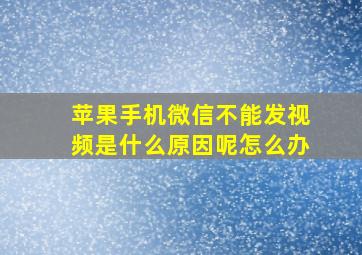 苹果手机微信不能发视频是什么原因呢怎么办