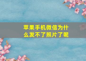 苹果手机微信为什么发不了照片了呢