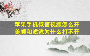 苹果手机微信视频怎么开美颜和滤镜为什么打不开