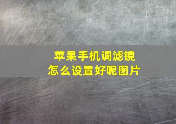 苹果手机调滤镜怎么设置好呢图片