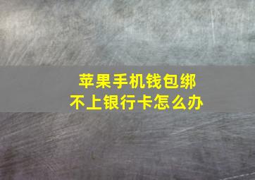 苹果手机钱包绑不上银行卡怎么办