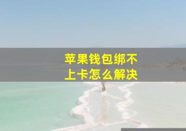 苹果钱包绑不上卡怎么解决