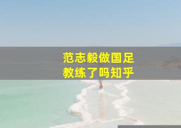 范志毅做国足教练了吗知乎