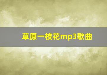 草原一枝花mp3歌曲