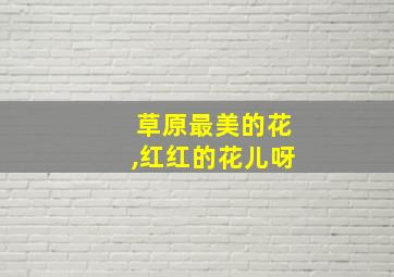 草原最美的花,红红的花儿呀