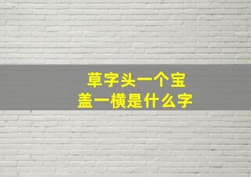 草字头一个宝盖一横是什么字