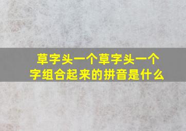 草字头一个草字头一个字组合起来的拼音是什么