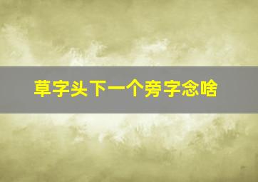 草字头下一个旁字念啥