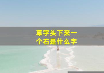 草字头下来一个右是什么字