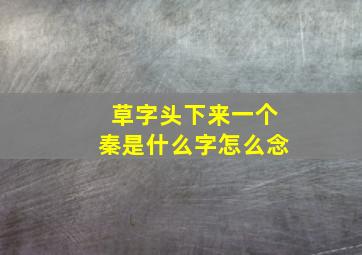 草字头下来一个秦是什么字怎么念