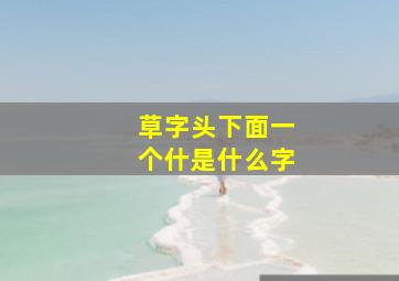 草字头下面一个什是什么字