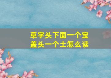 草字头下面一个宝盖头一个土怎么读