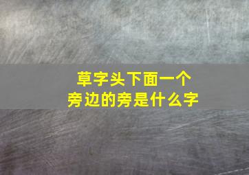 草字头下面一个旁边的旁是什么字