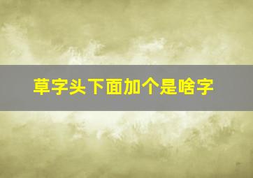 草字头下面加个是啥字