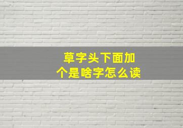 草字头下面加个是啥字怎么读