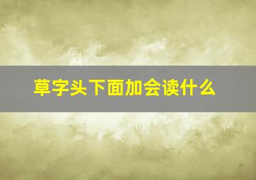 草字头下面加会读什么