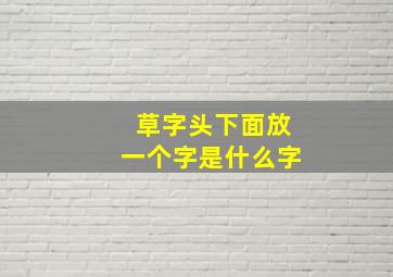 草字头下面放一个字是什么字