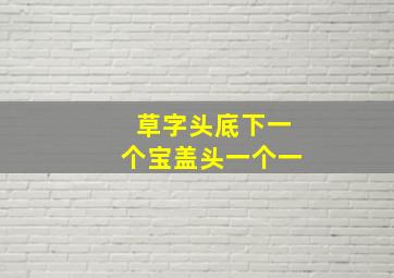 草字头底下一个宝盖头一个一