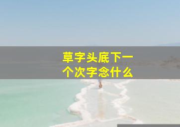 草字头底下一个次字念什么